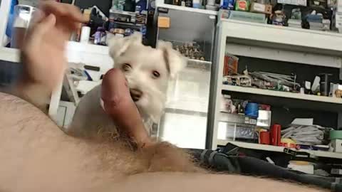 liveturbo24 online show from January 19, 3:25 pm