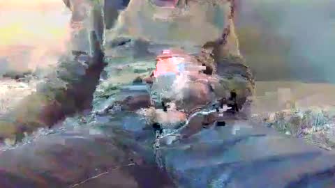 Lnkn online show from April 2, 4:15 pm