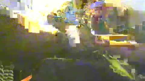 Victor Longwood online show from March 16, 10:52 am