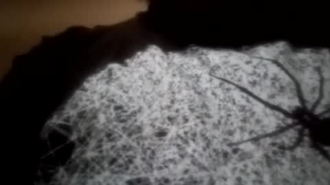 Snapshot of longone2600 chatting on January 8, 3:39 pm longone2600 online show from January 8, 3:39 pm