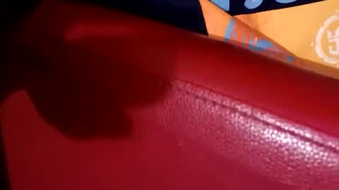 Snapshot of longone2600 chatting on October 1, 2:43 pm longone2600 online show from October 1, 2:43 pm