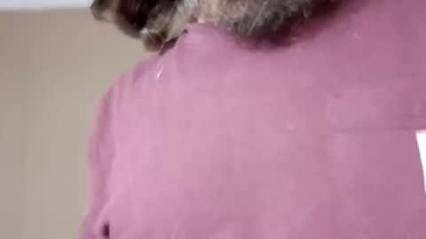 Snapshot of longone2600 chatting on October 28, 6:27 am longone2600 online show from October 28, 6:27 am