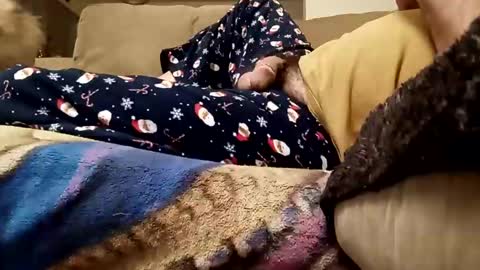 looking4bush online show from December 22, 2:09 am