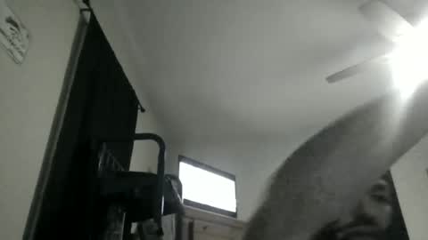 lostcause1313 online show from October 26, 9:50 pm