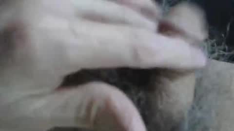 loveabush49 online show from November 26, 8:56 pm