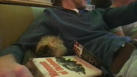 Lovhrypecs online show from December 27, 9:54 pm