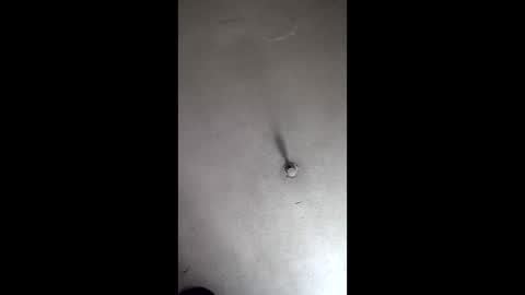 luisrey2908956360 online show from March 7, 11:26 am