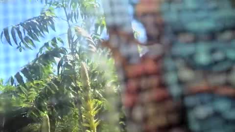 SLoppYxXPeeHoLeXxGspotxX online show from February 15, 8:39 pm