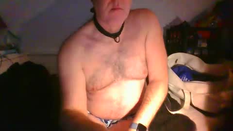 CommandbondageNipples bondage kink submissive lovense slave wgear. modequiethvyBondage If Password goldfish online show from February 16, 10:13 am