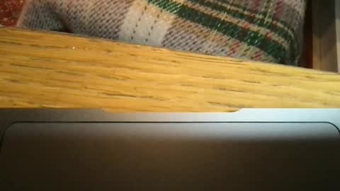 marklondonguy2023 online show from February 6, 11:07 am