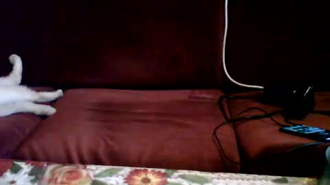 martin199250 online show from February 28, 6:43 am