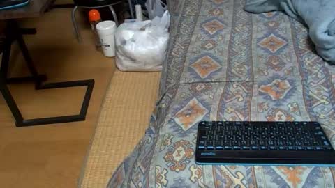 masayann online show from September 15, 2:36 am