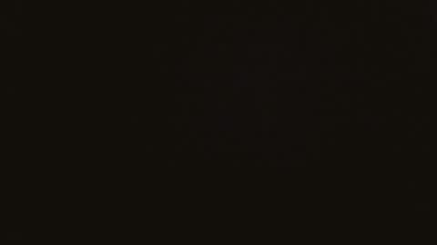 Sean online show from November 30, 11:51 pm