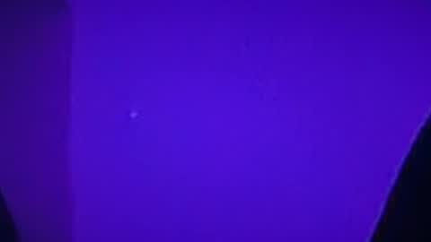 Chandu online show from March 12, 11:51 am