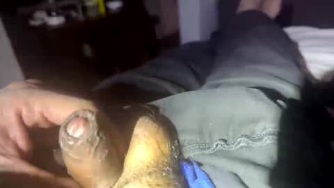 Snapshot of meminpeneguin chatting on October 28, 11:23 am meminpeneguin online show from October 28, 11:23 am