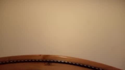 mhorny5 online show from September 14, 8:44 pm