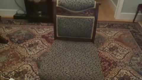 miamiwrestler online show from December 22, 2:42 am