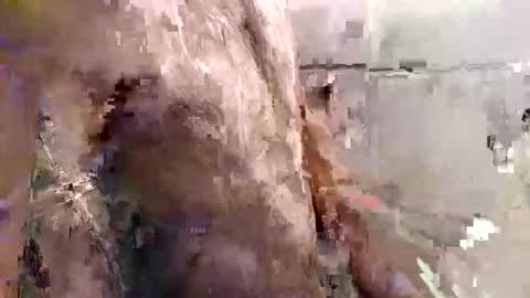 mickavis1975 online show from November 24, 6:03 am