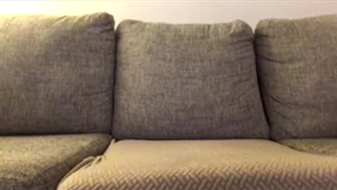 mistermedium069 online show from April 4, 5:15 am