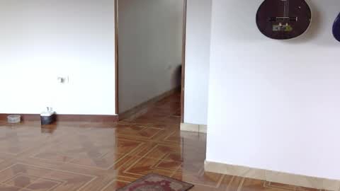     online show from April 20, 6:10 pm