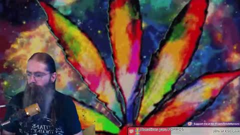 Lois online show from September 15, 11:11 am