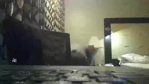 montedemise online show from March 5, 11:06 am