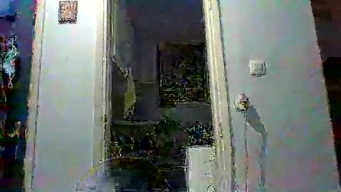 mppempis81 online show from February 1, 7:12 pm