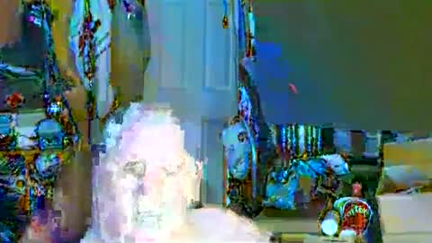 mr_canoe_licker_69 online show from February 12, 12:55 pm