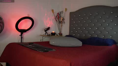 Snapshot of mrlouiss chatting on February 14, 3:05 pm Luis Instagram online show from February 14, 3:05 pm