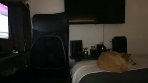 mrmiss_dannys online show from March 1, 3:10 am