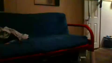 muddflapz online show from September 27, 7:06 am