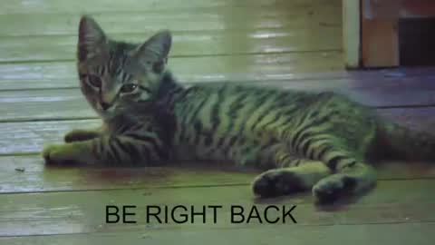 mvptwig420 online show from February 25, 5:30 am