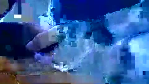 Nane online show from January 8, 12:54 pm