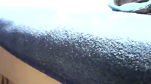 Nane online show from December 18, 2:46 pm