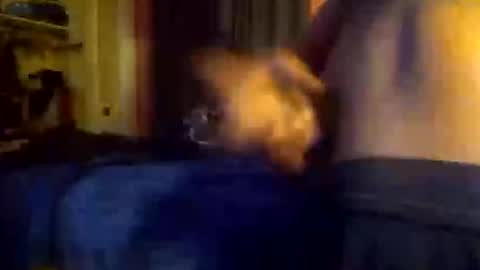 natebigd75089 online show from October 3, 2:49 am