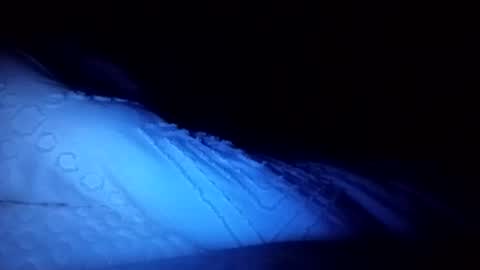 Haven online show from November 30, 12:40 pm