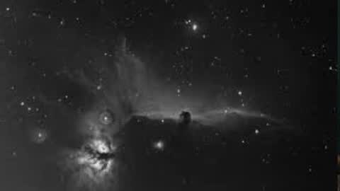 Nei turn green online show from March 31, 2:13 am