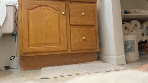 nfe1983 online show from December 2, 1:30 am