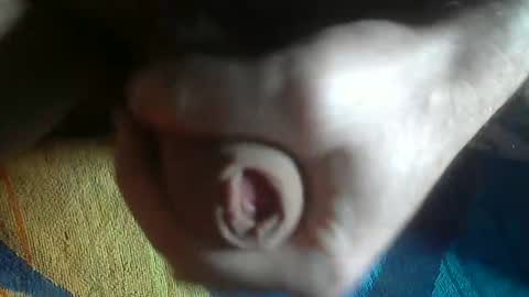 ni983 online show from January 20, 11:45 am