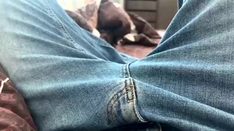 NIk online show from February 25, 10:47 am