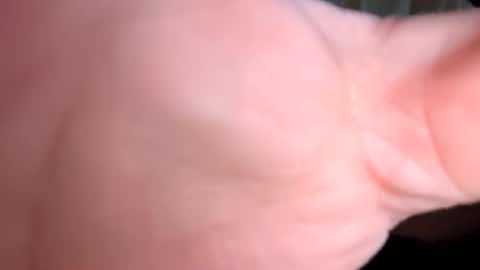 neighbours online show from February 3, 7:24 am