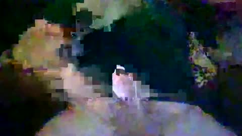 ninersrule101 online show from December 7, 9:44 pm