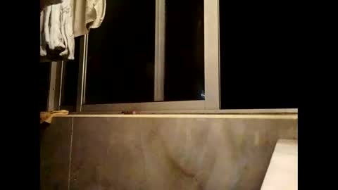 njav77 online show from December 3, 3:34 am