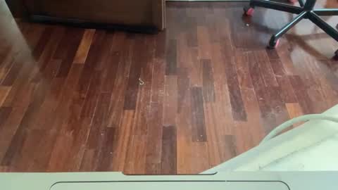 Archangel online show from April 25, 1:52 pm