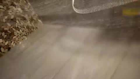 notme710 online show from March 18, 11:46 am