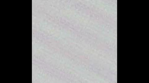 Novinhoo online show from March 9, 2:27 am