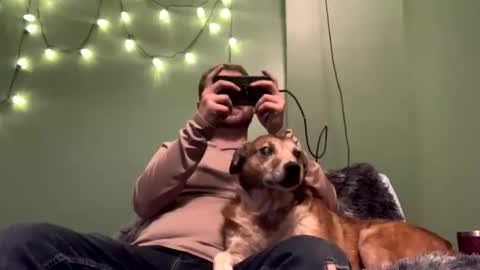 nsy57528 online show from November 6, 2:03 am