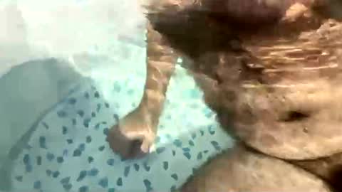 okayiguess online show from December 22, 3:33 pm