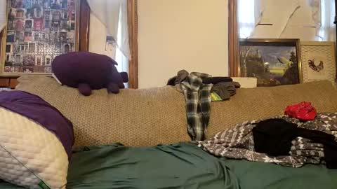 oknpc online show from January 29, 12:35 pm