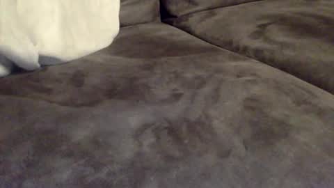 oktobus74 online show from October 31, 6:00 pm